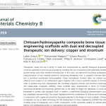 Report on chitosan-hydroxyapatite composite bone tissue engineering scaffolds